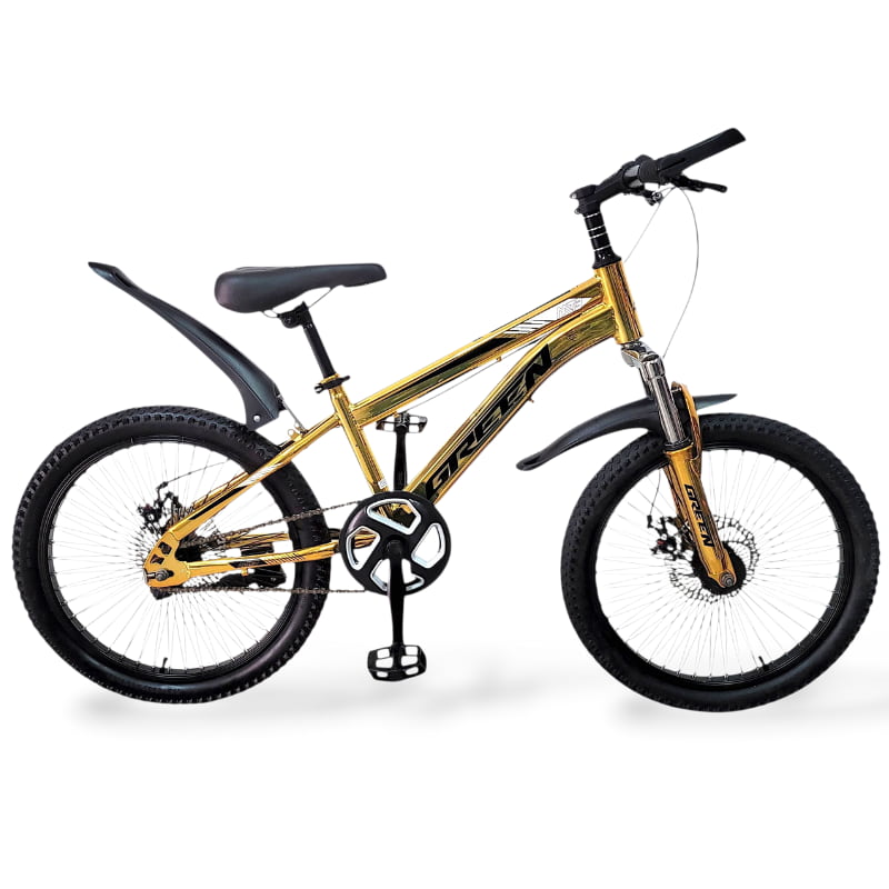 Bicicleta XTREME varon R20